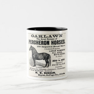 TAZA BICOLOR 1886 AD PARA CABALLOS DE PERCHERON, ILLINOIS