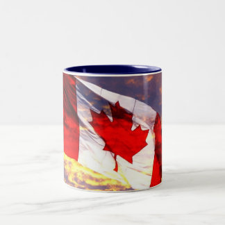 Taza Bicolor 211435558_1ddb32a17c_o