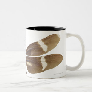 TAZA BICOLOR 23599152