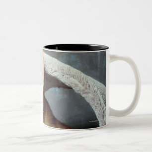 TAZA BICOLOR 23893010
