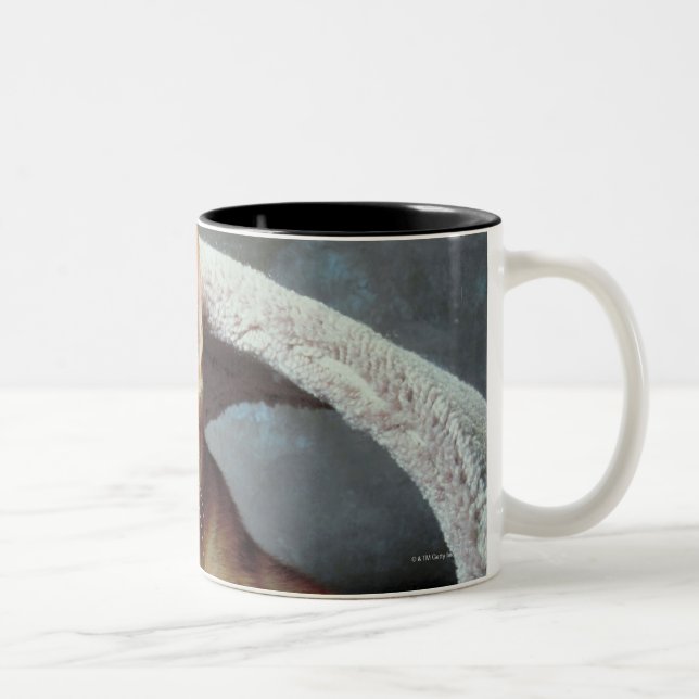 TAZA BICOLOR 23893010 (Derecha)