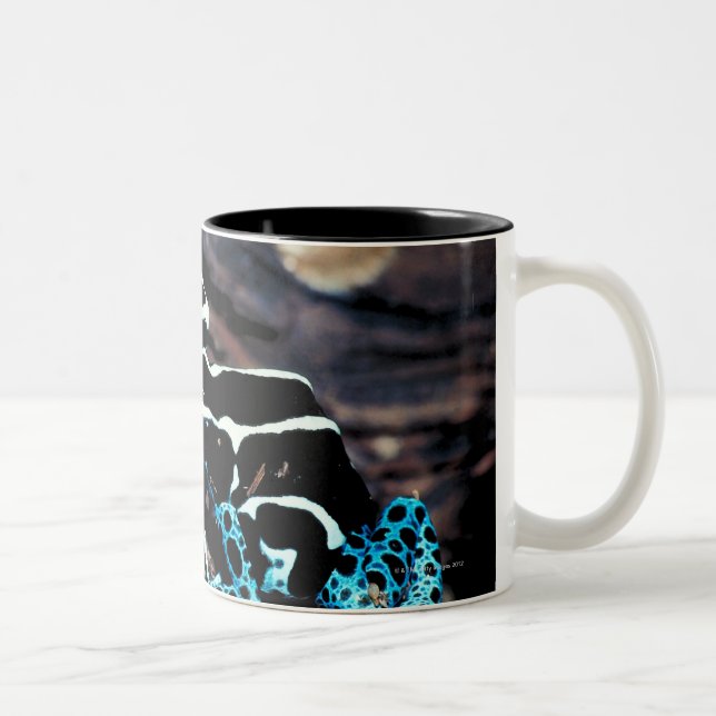 TAZA BICOLOR 23898179 (Derecha)