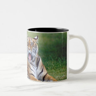 TAZA BICOLOR 23899167
