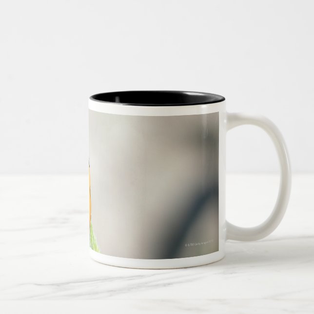 TAZA BICOLOR 24102386 (Derecha)