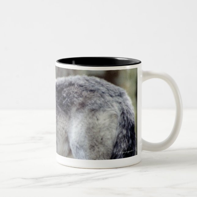 TAZA BICOLOR 24114488 (Derecha)