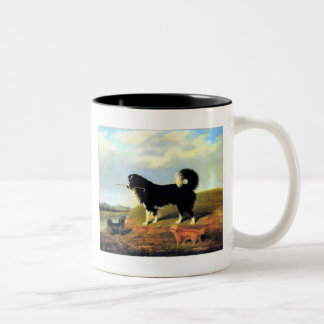Taza Bicolor 24b Español y 2 Norfolk Terriers