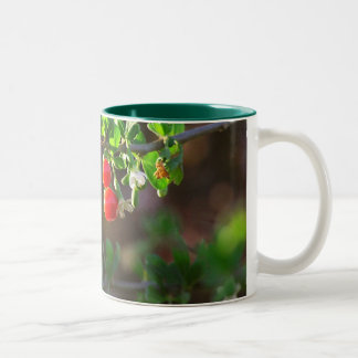 TAZA BICOLOR 2.ª BARRÍA