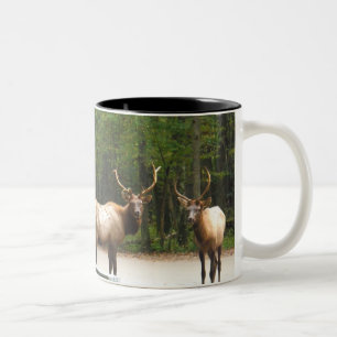 Taza Bicolor 2 Rocky Mountain Elk