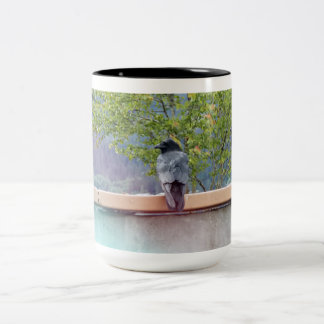Taza Bicolor 3 cuervos
