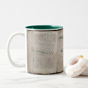 Taza Bicolor 3 páginas biológicas ilustración del Manuscrito Vo