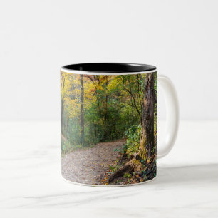 Taza Bicolor a lo largo de la sinuosa ruta forestal de las coli