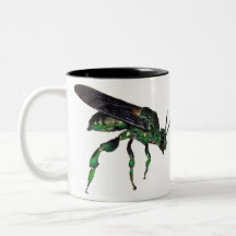 Abeja verde metálica del Amazonas