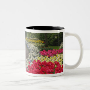 Taza Bicolor Acera a través de tulipanes, narcisos y