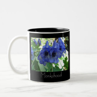 Taza Bicolor Acónito