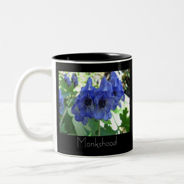 Taza Bicolor Acónito (Izquierda)
