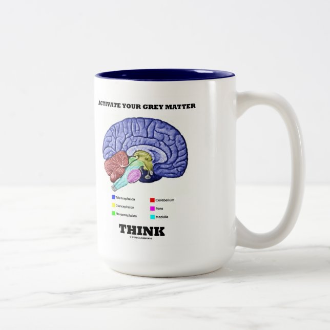 Taza Bicolor Activar tu materia gris pensar cerebro anatómico (Derecha)