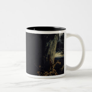 Taza Bicolor Adiós de la reina Isabel a Transilvania, 1863
