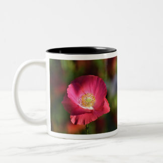 Taza Bicolor Adormidera rosa en la fotografía de Sunshine