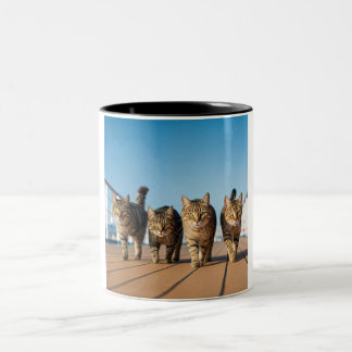 Taza Bicolor Adventurous Cat Cruise Mug