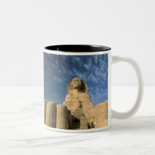 Taza Bicolor África, Egipto, El Cairo, Meseta de Giza. Esfinge