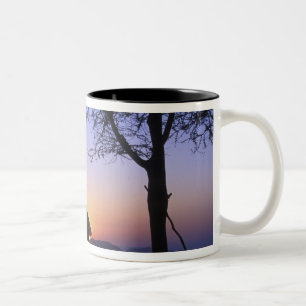 Taza Bicolor África, Etiopía, región del río Omo, puesta de