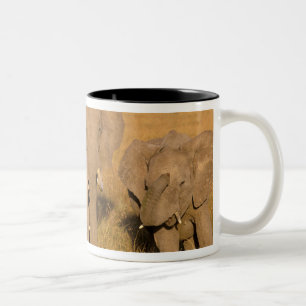 Taza Bicolor África, Kenia, Masai Mara. Elefante africano