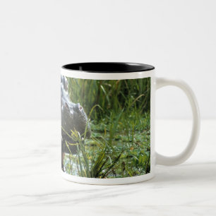 Taza Bicolor África, Kenia, Masai Mara NR. Una madre hipopótamo