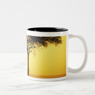 Taza Bicolor África, Kenia, Reserva de caza Masai Mara, Amanece
