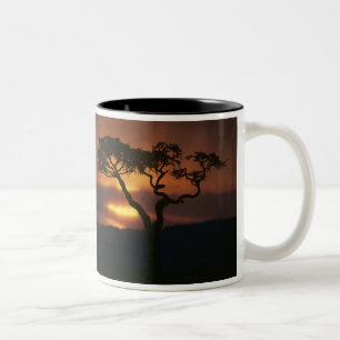 Taza Bicolor África, Kenia, Reserva de caza Masai Mara, Atardec