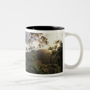 Taza Bicolor África, Tanzania, Área de conservación de Ngorongo