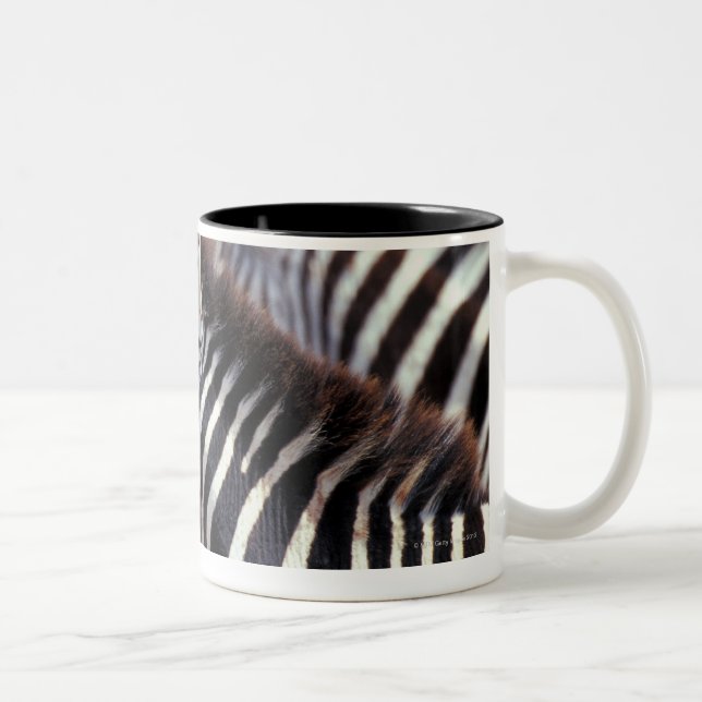 Taza Bicolor África, Tanzania, manada de cebras (Derecha)