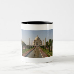 Taza Bicolor agua del taj mahal