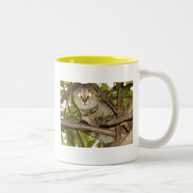 Taza Bicolor Aguanta (Derecha)