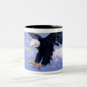 Taza Bicolor Águila Calva Aterrizando con Alas Extendidas en un