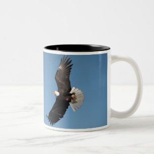Taza Bicolor Águila calva en vuelo