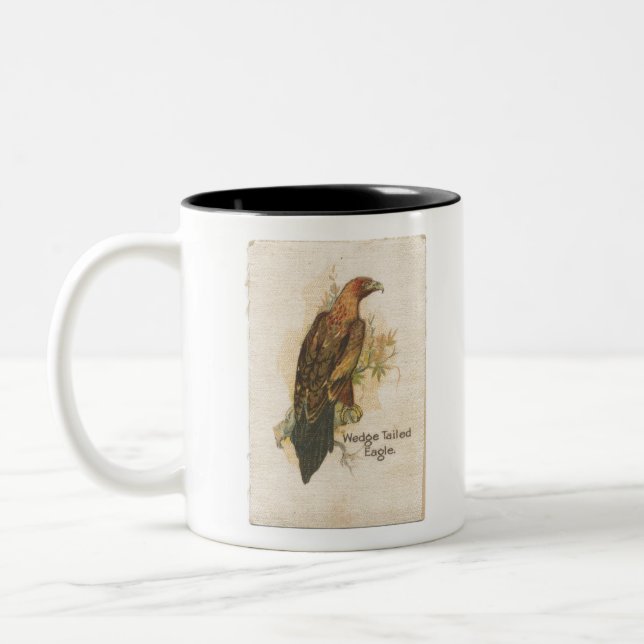 Taza Bicolor Águila cola Wedge (Izquierda)