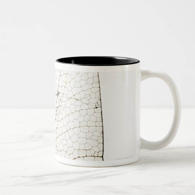 Taza Bicolor Ala de la libélula (Derecha)