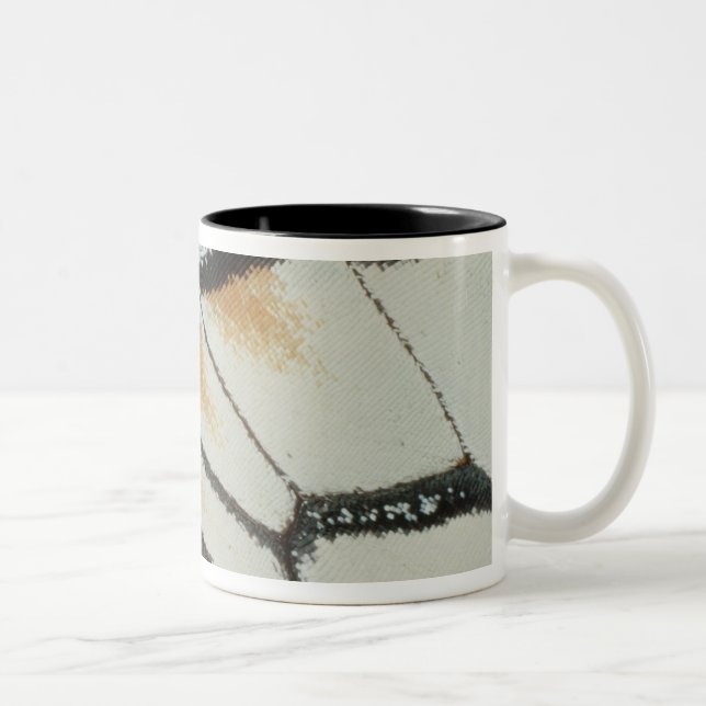 Taza Bicolor Ala de la mariposa (Derecha)