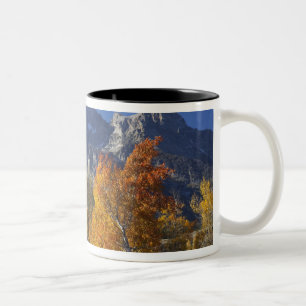Taza Bicolor Álamos con la cordillera Teton
