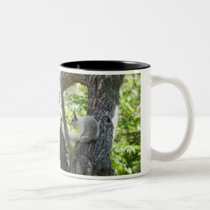 Taza Bicolor Albino Squirrel Mug