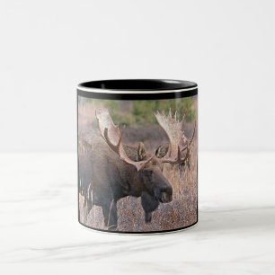 Taza Bicolor Alces de Bull