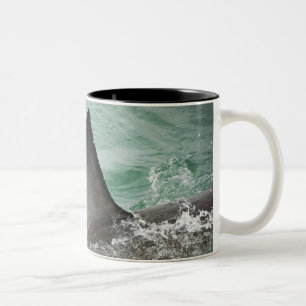 Taza Bicolor Alerón dorsal de un gran tiburón blanco