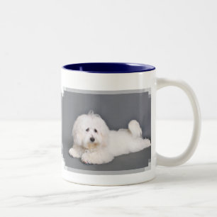 Taza Bicolor Algodón de Tulear - Joci