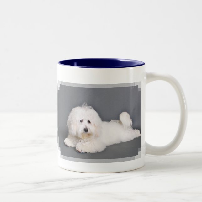 Taza Bicolor Algodón de Tulear - Joci (Derecha)