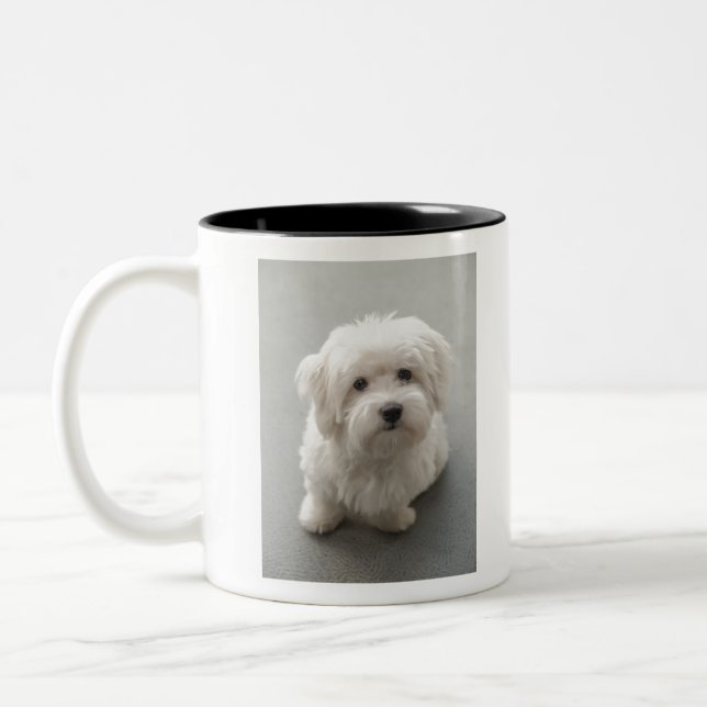 Taza Bicolor Algodón de Tulear Puppy de Maisie (Izquierda)