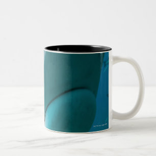 Taza Bicolor Alimentación del tiburón del tiburón de tigre