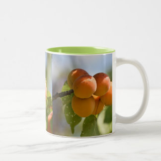 Taza Bicolor Alimentos Melocotones en el Árbol