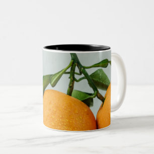 Taza Bicolor Alimentos saludables