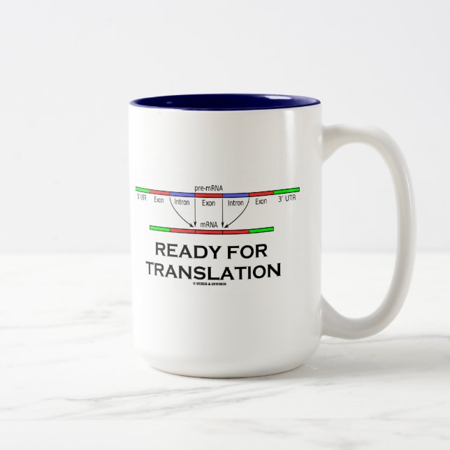 Taza Bicolor Aliste para la traducción (el pre-mRNA en el mRNA) (Derecha)