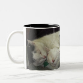 Taza Bicolor Allis y Abbie Mug